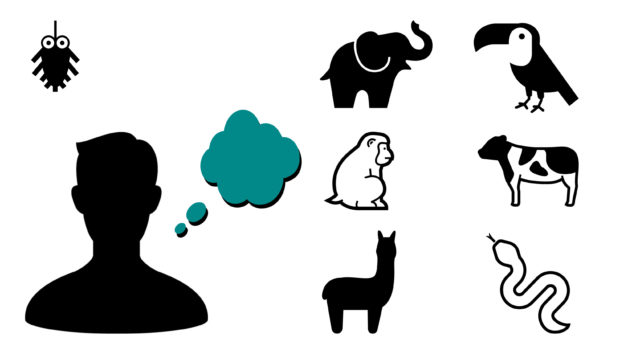 飼育員を目指す方へ 自己分析してみよう 元飼育員の人生録